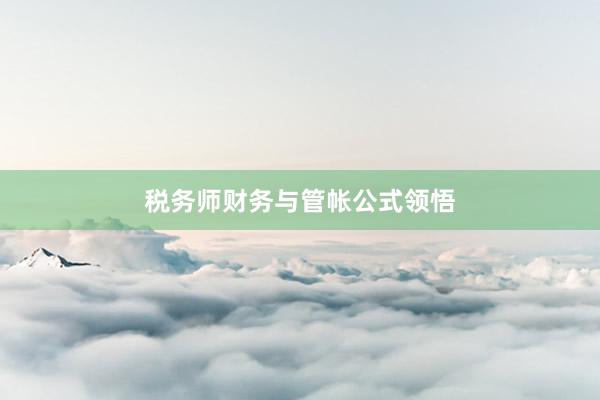 税务师财务与管帐公式领悟